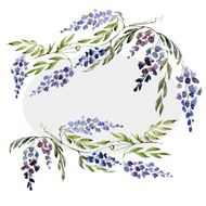 WIstaria flowers