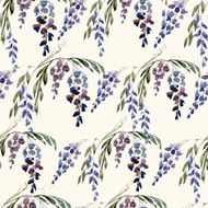 WIstaria flowers N2