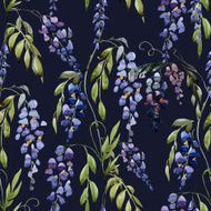 WIstaria flowers N3