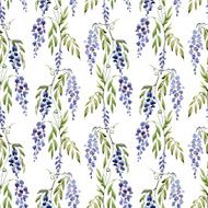 WIstaria flowers N4