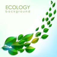 Eco background N2