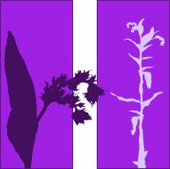 Herbs N2