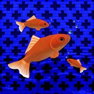 GOLD FISH ON BLUE TILE