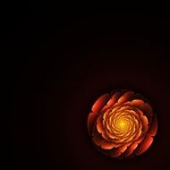Abstract fractal flower N4