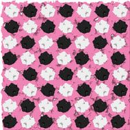 black and white polka dot on pink background