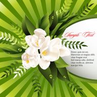Vector fresh green abstract spring background with flowers N2
