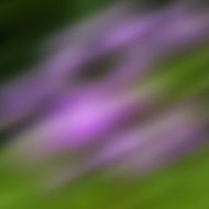 Abstract defocused colorful blurred background N3