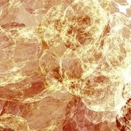 War of the cells fractal generated background