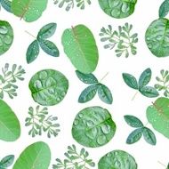 Green spring pattern