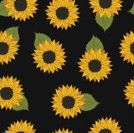 vector pattern with flowers sunflower N3