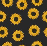 vector pattern with flowers sunflower N4