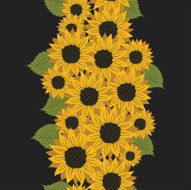 vector pattern with flowers sunflower N5