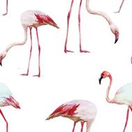 flamingo pattern N2