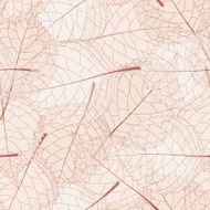 Transparent Leaves N2