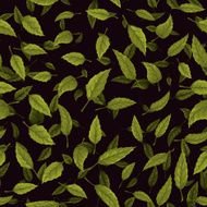 Seamless texture of green leaf on black background