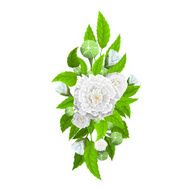 Bouquet of flowers for decoration