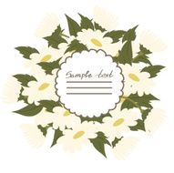 Vector picture with daisies N16