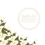 Vector picture with daisies N17