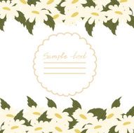 Vector picture with daisies N20