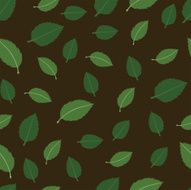 vector pattern with leaves of walnut