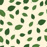vector pattern with leaves of walnut N2