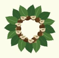 Vector picture with nuts N10