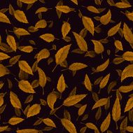 Seamless texture of autumn leaves N7