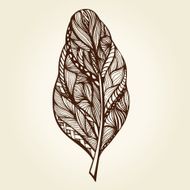 Decorative feathers N5