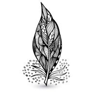 Decorative feathers N6