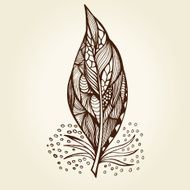 Decorative feathers N7