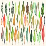 Watercolor leafs set N2