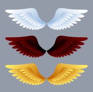 Wings N11