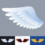 Wings Illustration
