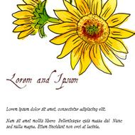 The composition of yellow sunflower painted in watercolor N6