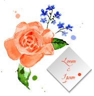 Illustration rose and forget-me-flower for celebratory design N2