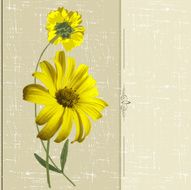 yellow flowers N17