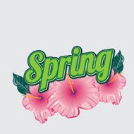 Spring background colors and text for design