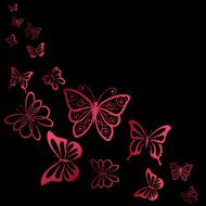 Butterfly design on a black background