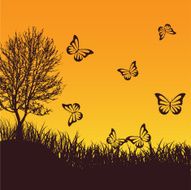 Flying butterflies at sunset Summer composition for design vector