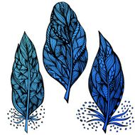 Decorative feathers N11
