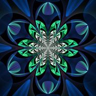 Fabulous symmetrical pattern of the leaves N2