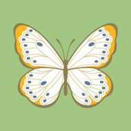 Vector butterfly illustration