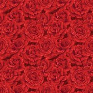 Red Roses N12
