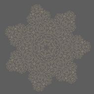 Vector lace N2