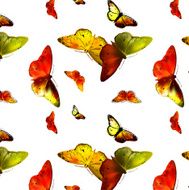 set Monarch Butterfly with open wings N3