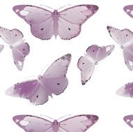 set Monarch Butterfly with open wings N4