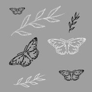 set Monarch Butterfly with open wings N5
