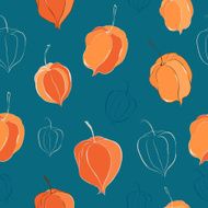 Seamless pattern with physalis N2