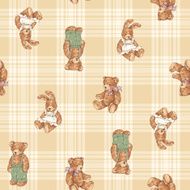 Pattern of bear N13