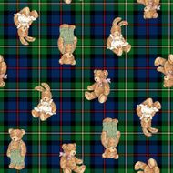 Pattern of bear N14
